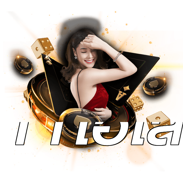 11ไฮโล